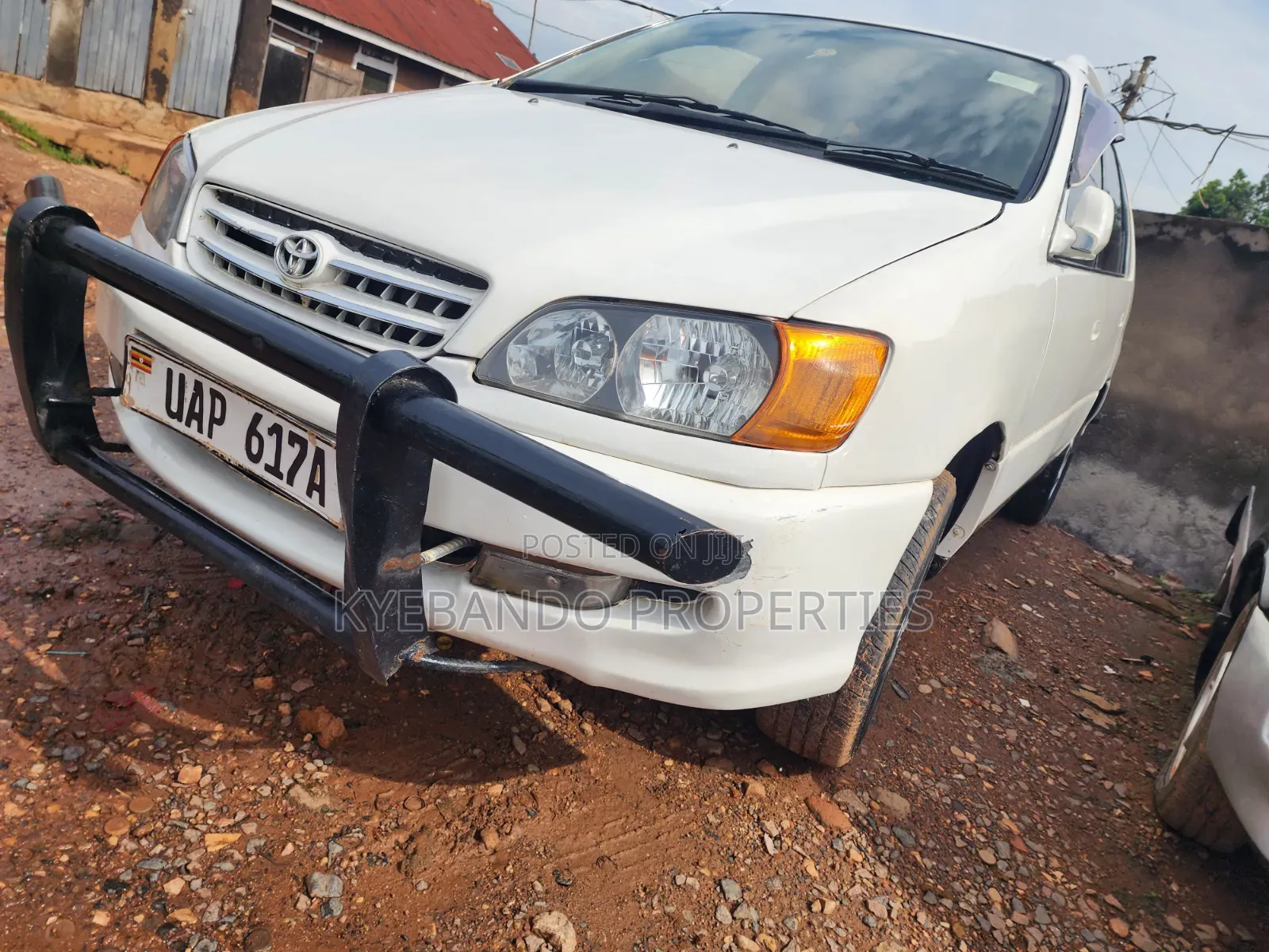 Toyota Ipsum 2000 White