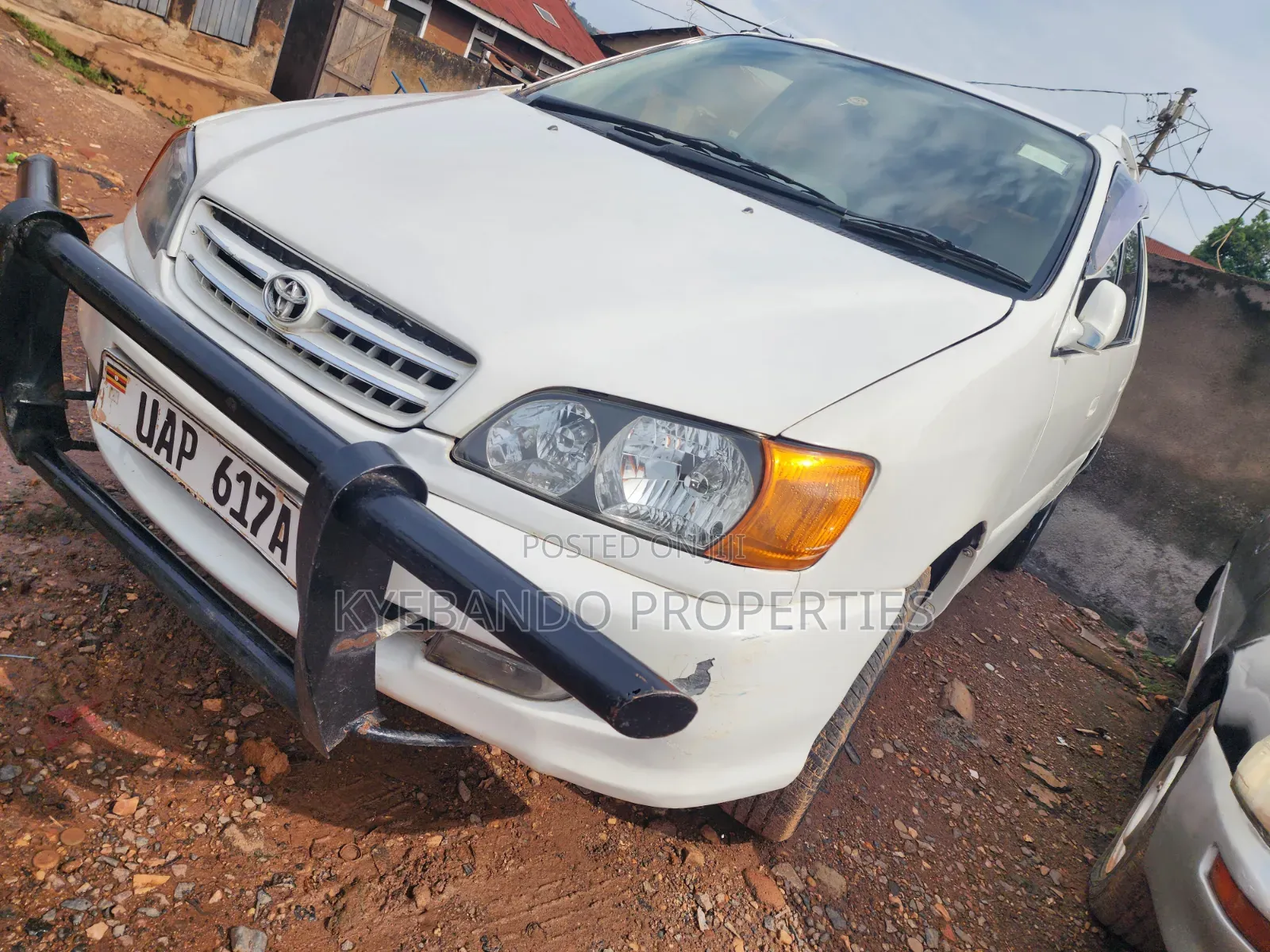 Toyota Ipsum 2000 White