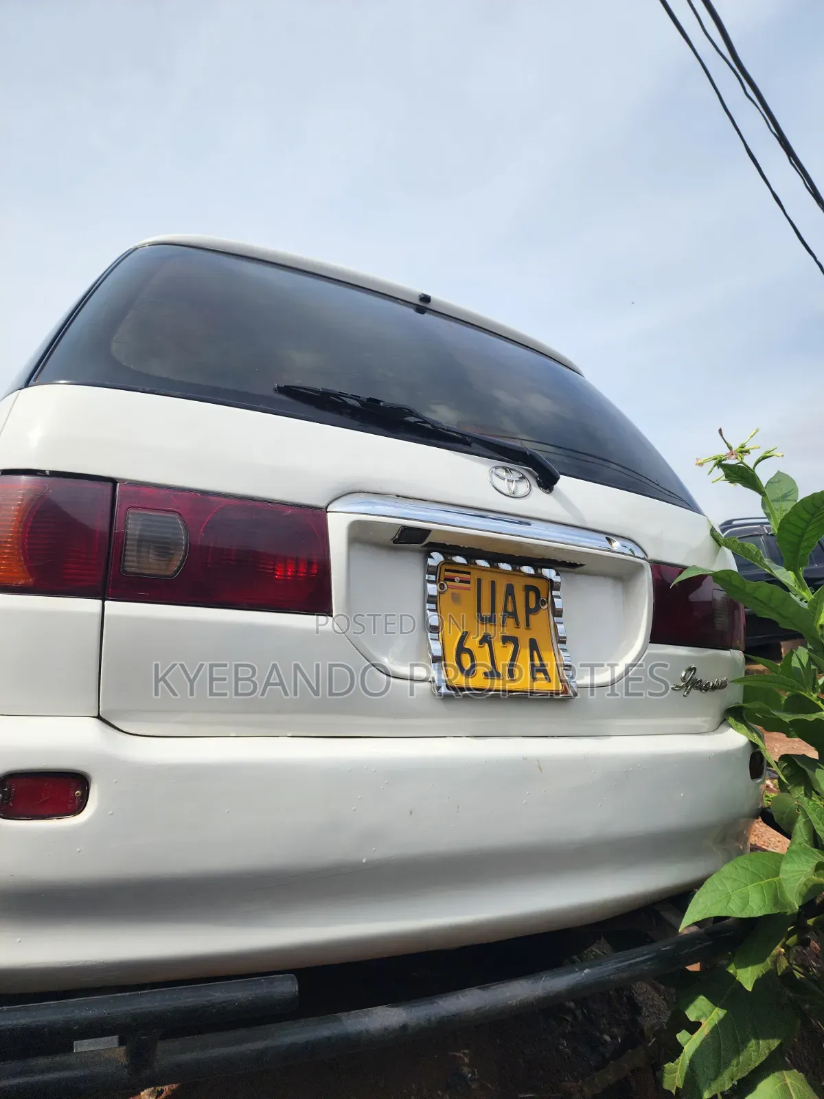 Toyota Ipsum 2000 White