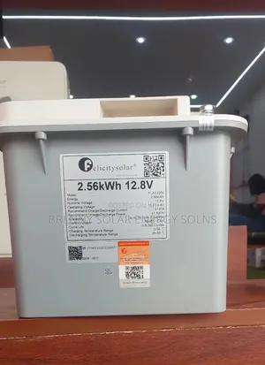 2.56kwh 12v Lithium Ion Phosphate (Lifepo4)Battery