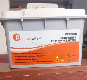 2.56kwh 12v Lithium Ion Phosphate (Lifepo4)Battery