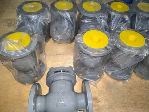 Carbon Steel Check Valve (Wcb 150lb) - Sizes 2" To 6" Available