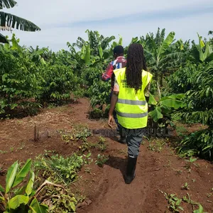 Farm Setup Services