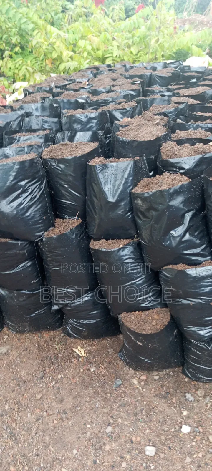 High Quality Black Soil Manure Charcoal Dust Packed With Nutrients
