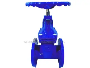 Gate Valve Pn16 - Sizes 2" to 24" Available