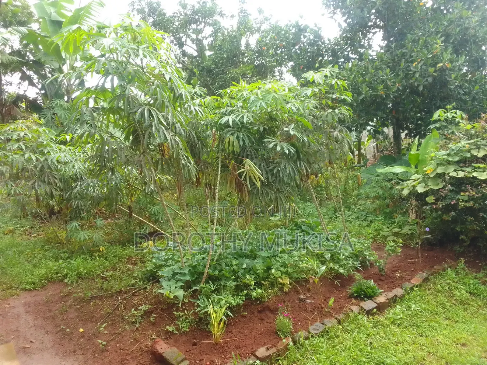 Land for Sale in Mukono Kirangira