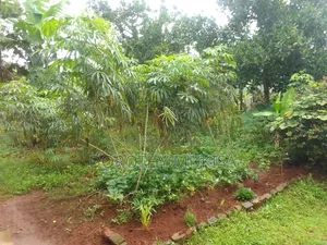 Land for Sale in Mukono Kirangira