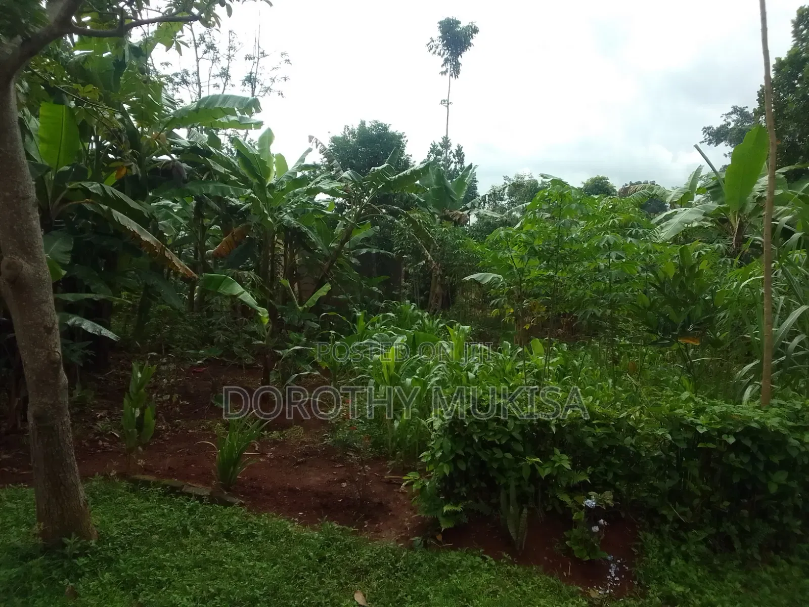 Land for Sale in Mukono Kirangira
