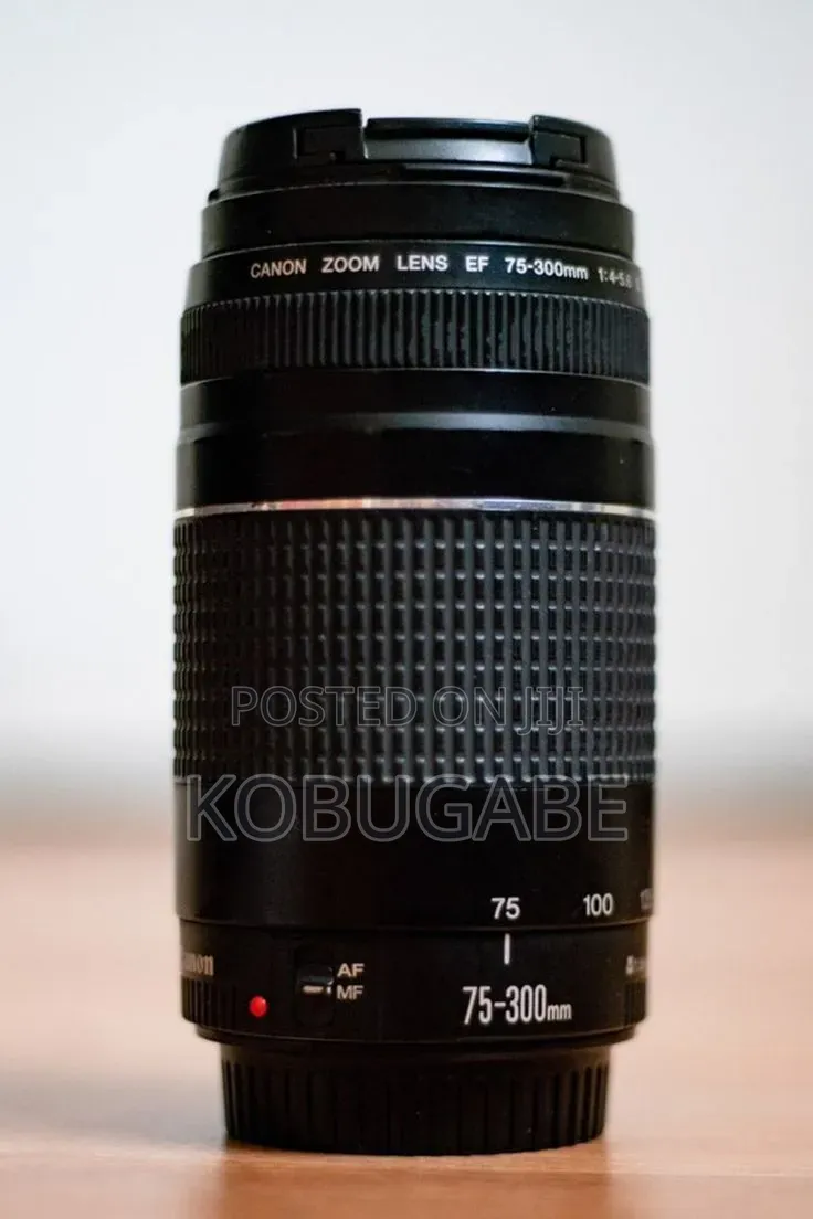 70-300mm Canon Lens