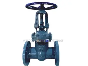 Carbon Steel Gate Valve Pn25 - Sizes 3" to 12" Available