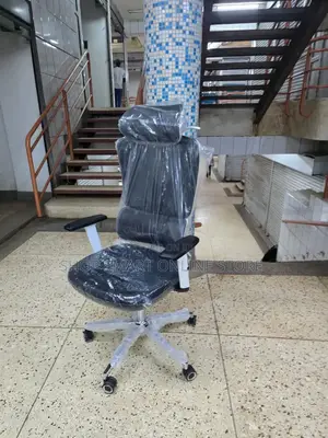 Ergonomic Back Support Office Chair Office Chair