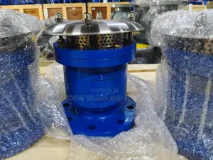 Single Flange Air Valve (304) Pn16 - Sizes 2" to 6" Available