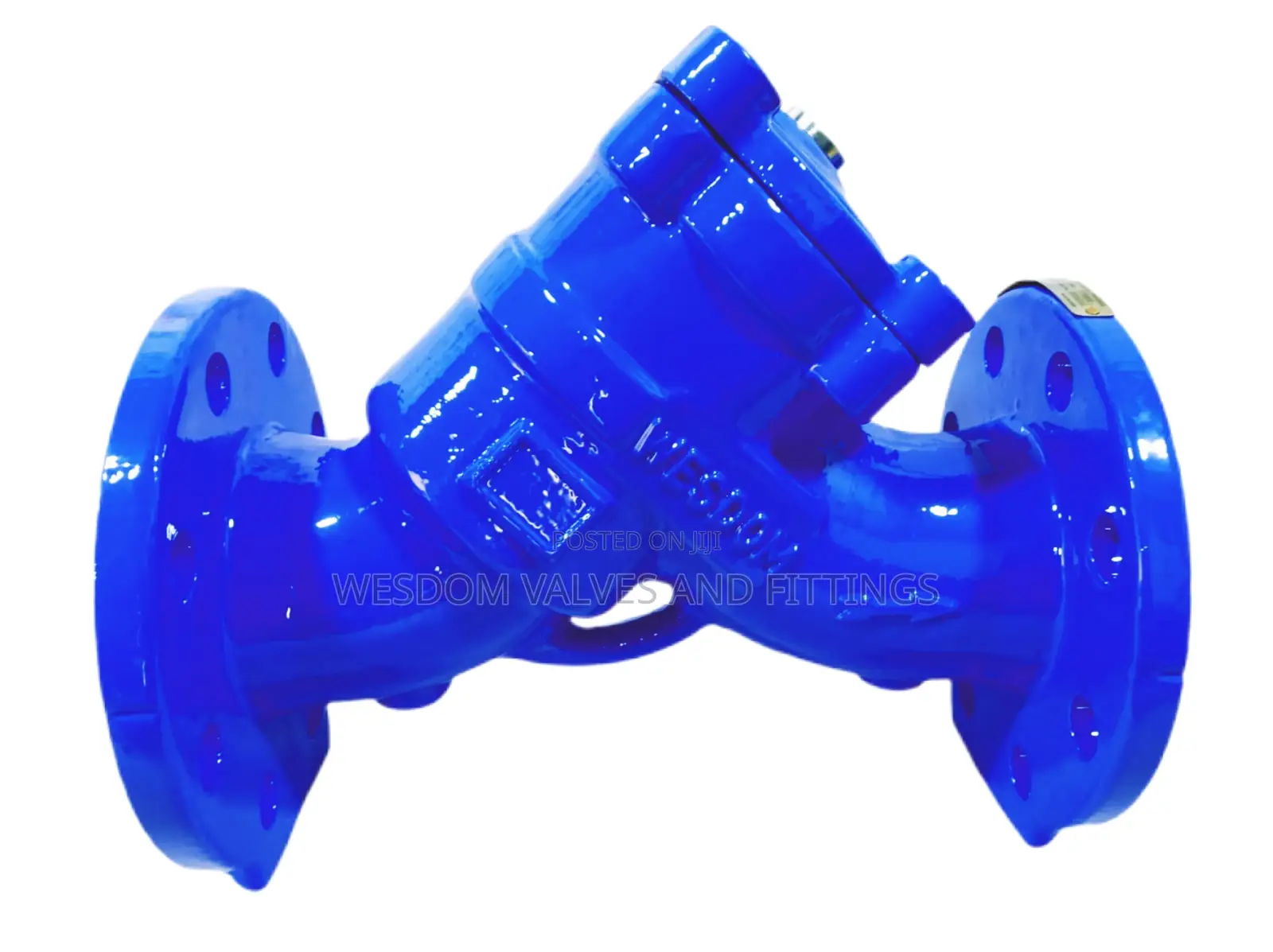 Y Strainer Pn16 - Sizes 2" to 16" Available Protect Equipment