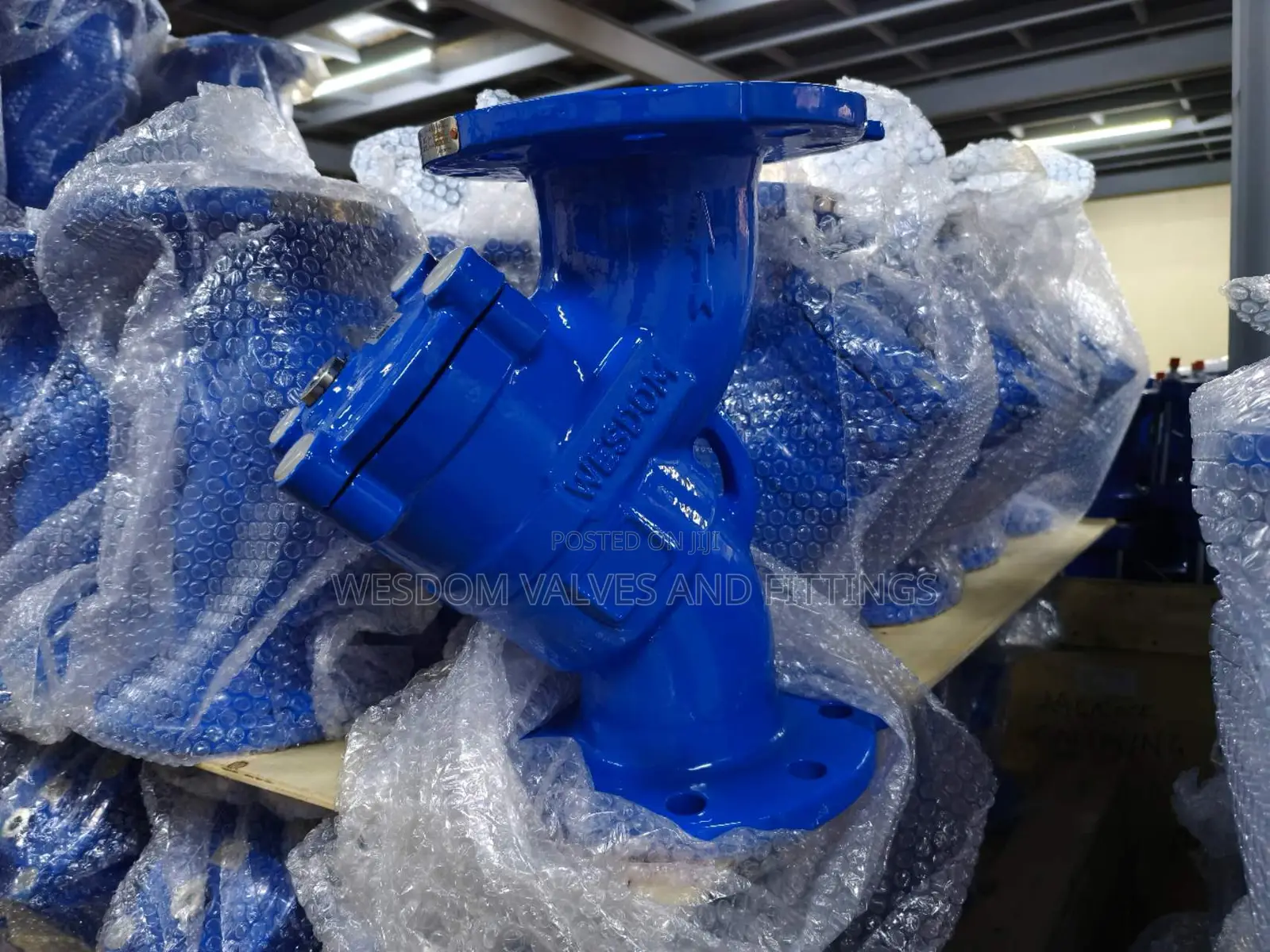 Y Strainer Pn16 - Sizes 2" to 16" Available Protect Equipment