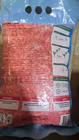 Dk777 Maize.Seeds With High Yields Plant 1 Seed Per Hole