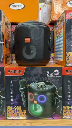 Portable Wireless Bluetooth Speaker 2 Mics
