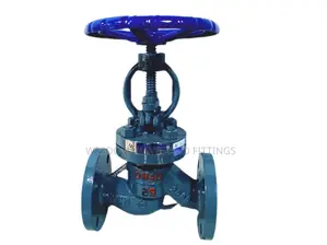 Globe Valve (J41h) Pn25 - Sizes 1" to 4" Available