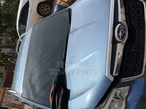 Tonny Tints and Stickers