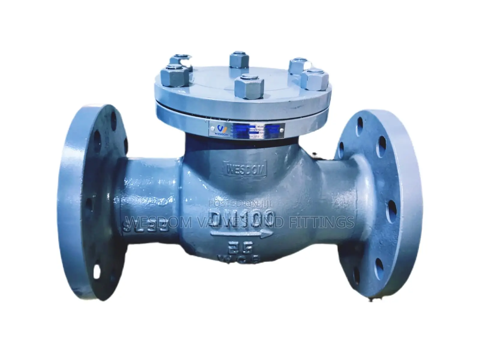 Carbon Steel Swing Check Valve Pn25 - Sizes 4" to 12" Available