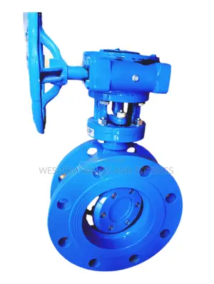 Hard Seal Eccentric Butterfly Valve D343h Pn16/Pn25 - 6" Available