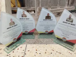 Award and Accolades