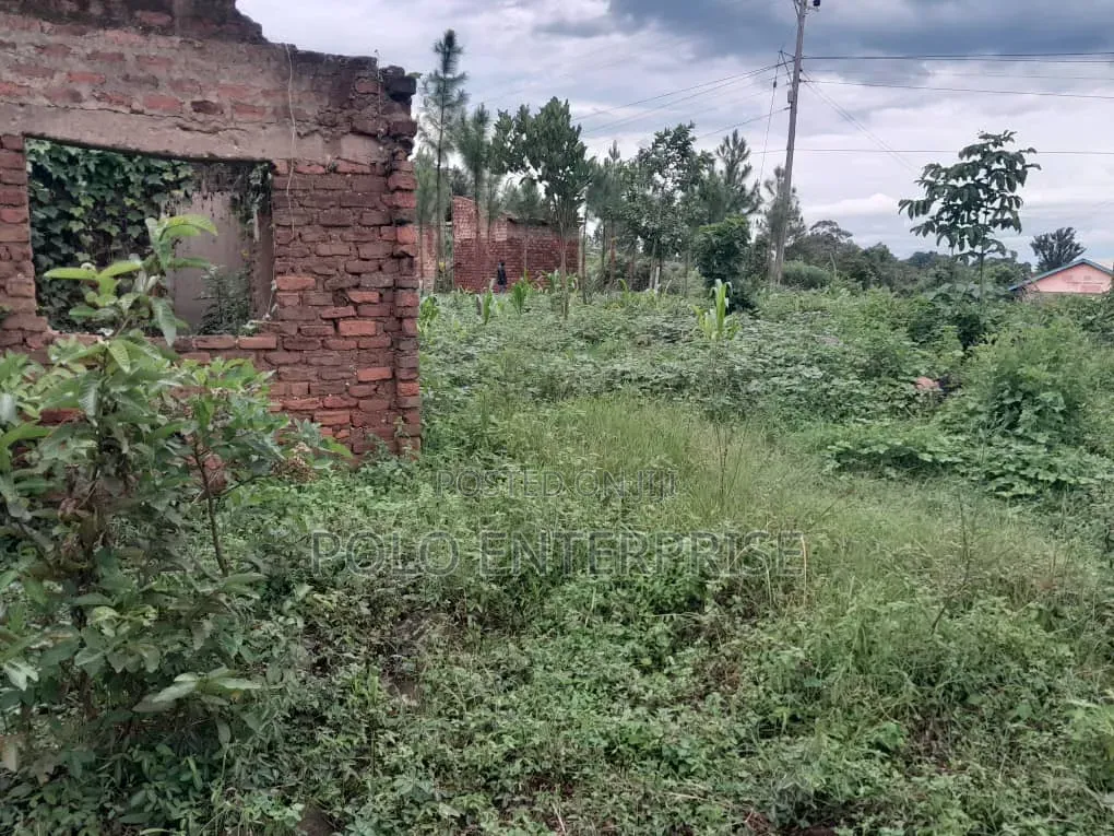 Plot of Land