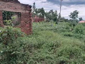 Plot of Land