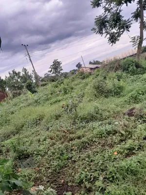 Plot of Land