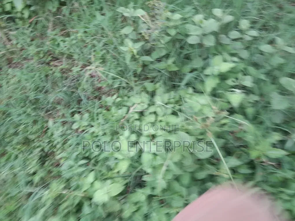 Plot of Land