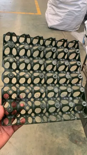 Plastic Egg Tray