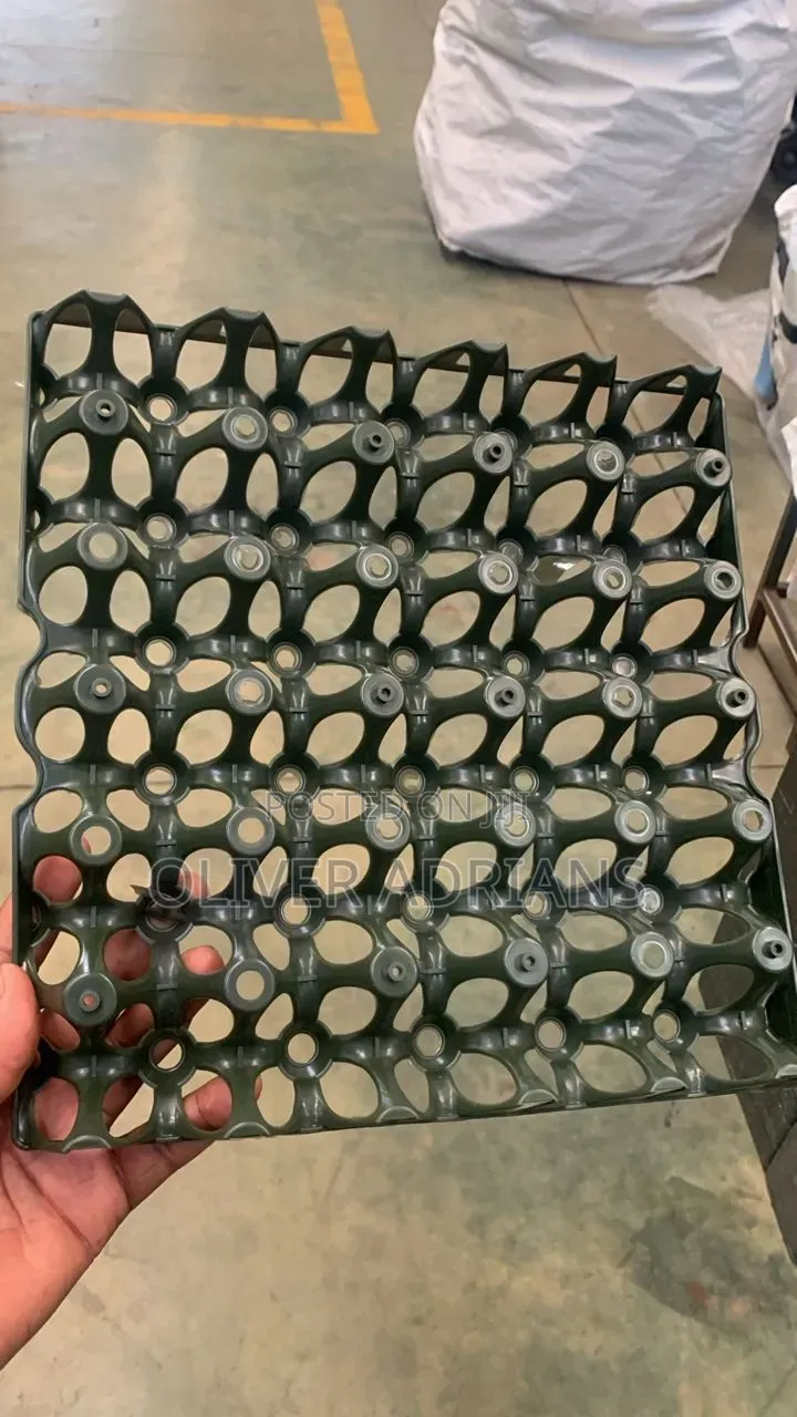 Plastic Egg Tray