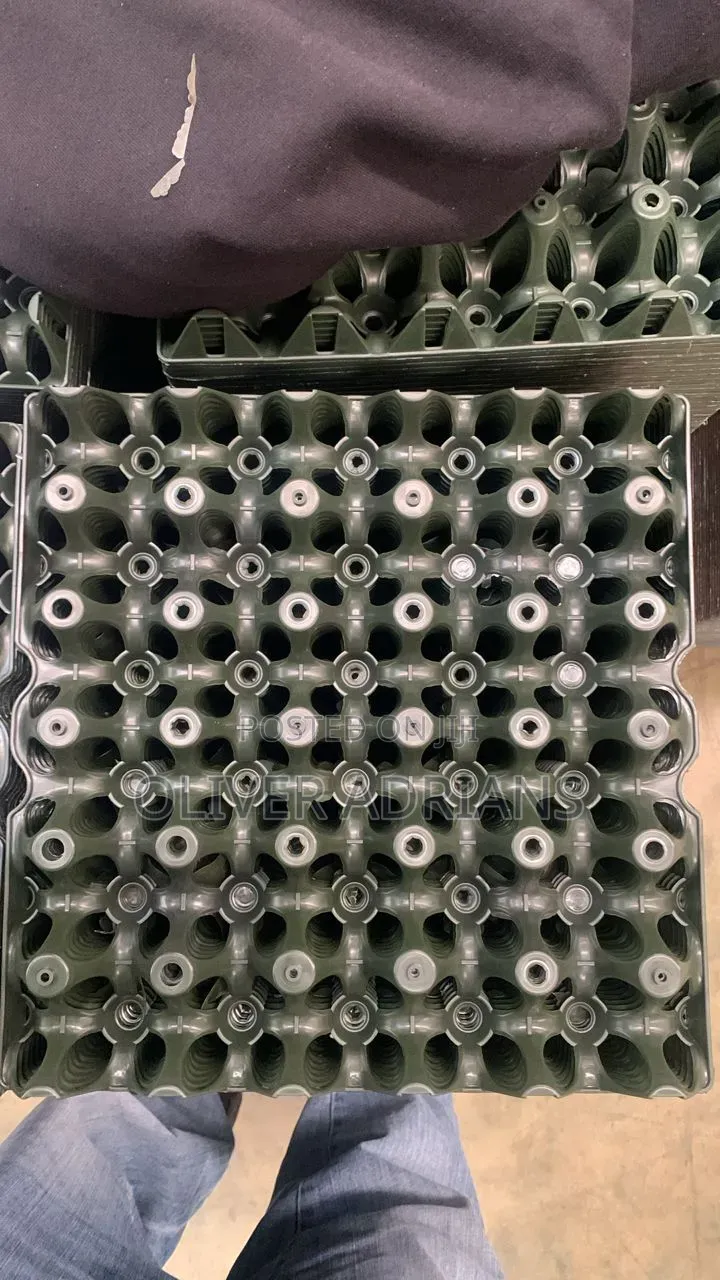 Plastic Egg Tray