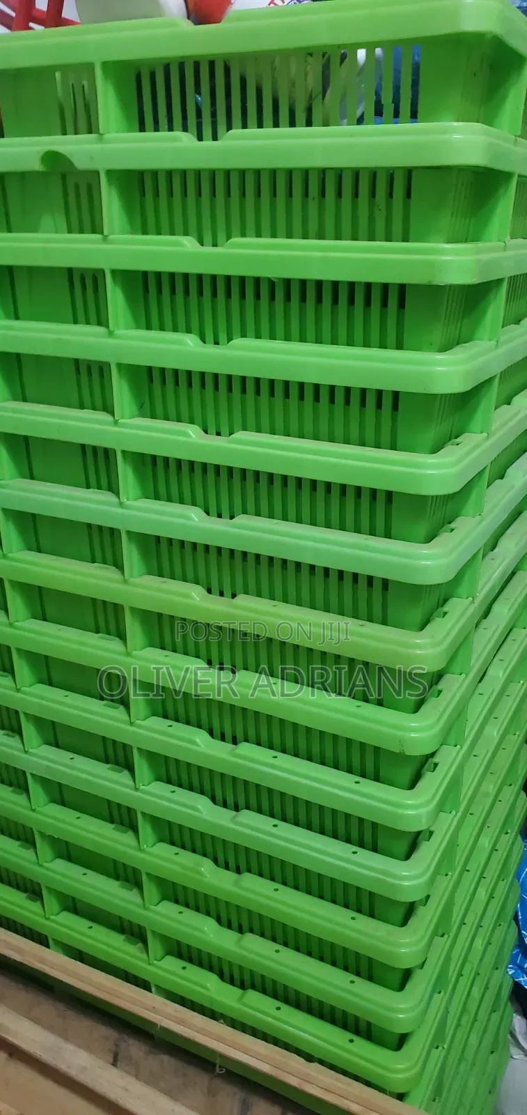 Chicks Basket