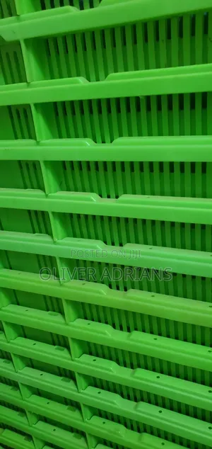 Chicks Basket