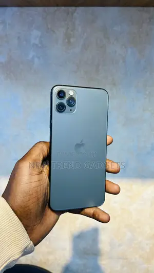 Apple iPhone 11 Pro Max 256 GB Black