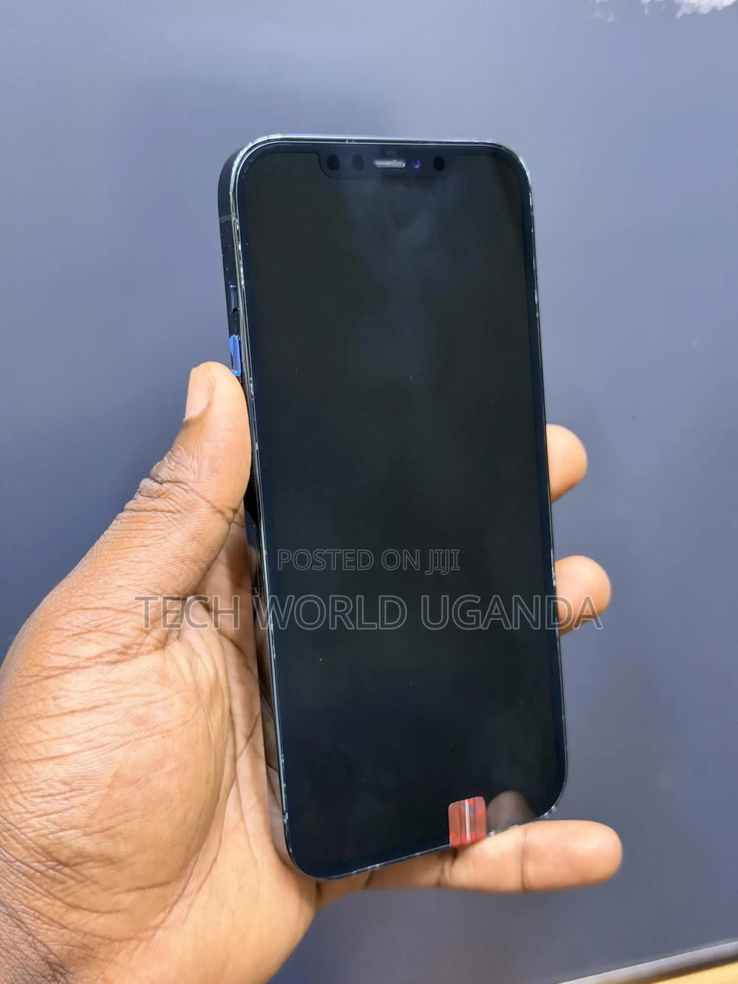 Apple iPhone 12 Pro Max 256 GB Blue