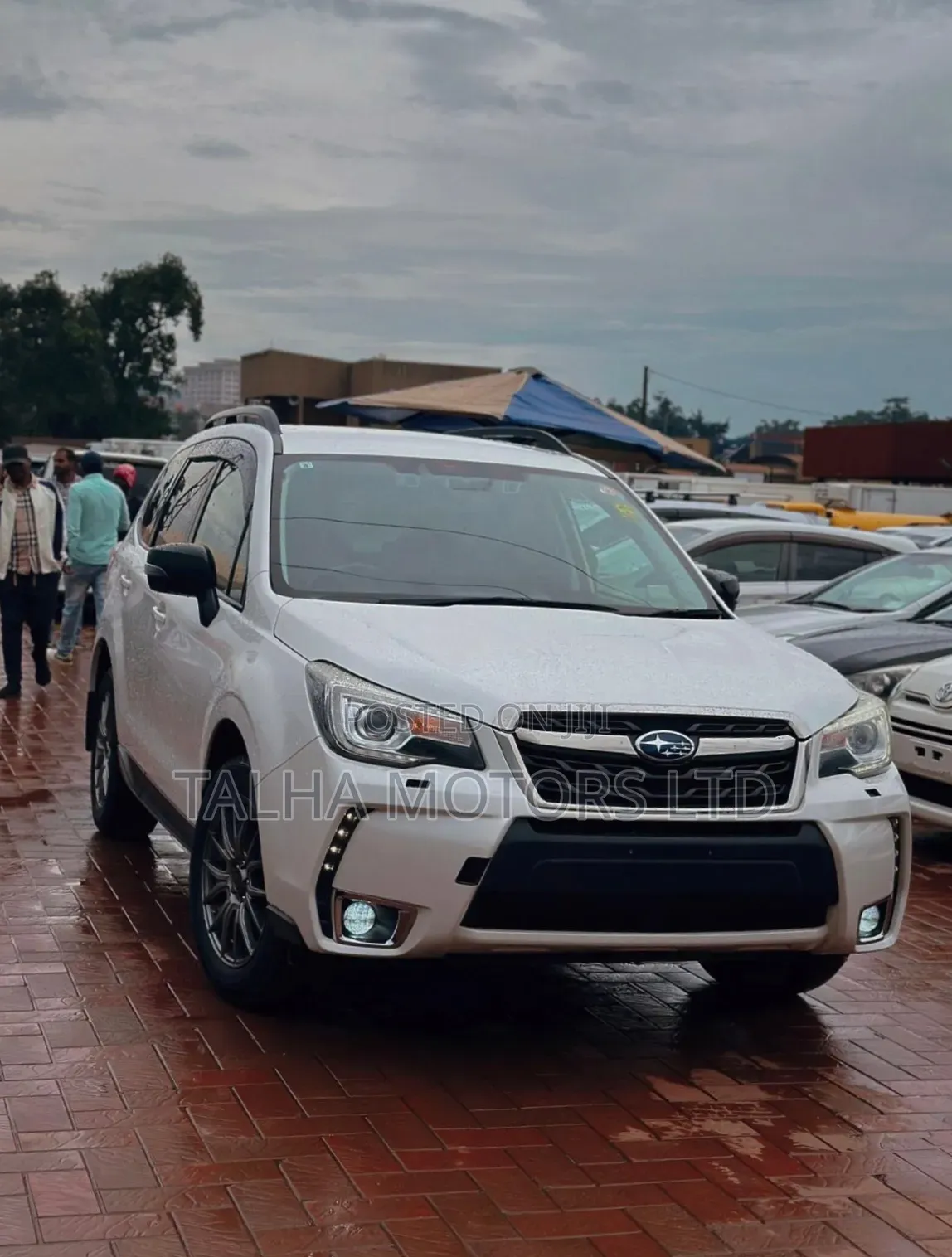Subaru Forester 2017 White