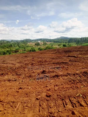 Namayumba Residential Plots