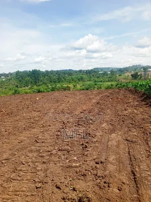 Namayumba Residential Plots