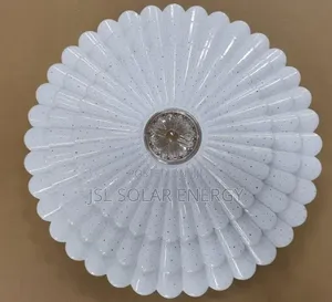 Ceiling Lights