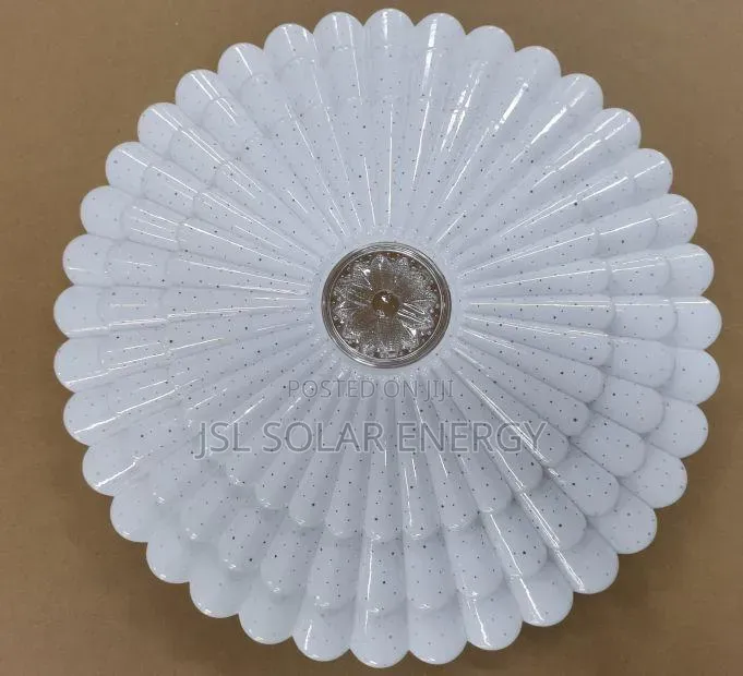 Ceiling Lights