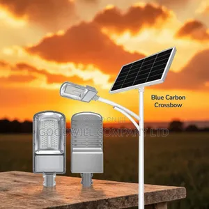 600w Blue Carbon Crossbow Solar Street Light