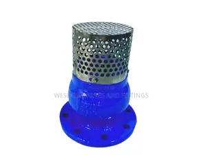 Foot Valve Pn16 - Sizes 3" to 8" Available