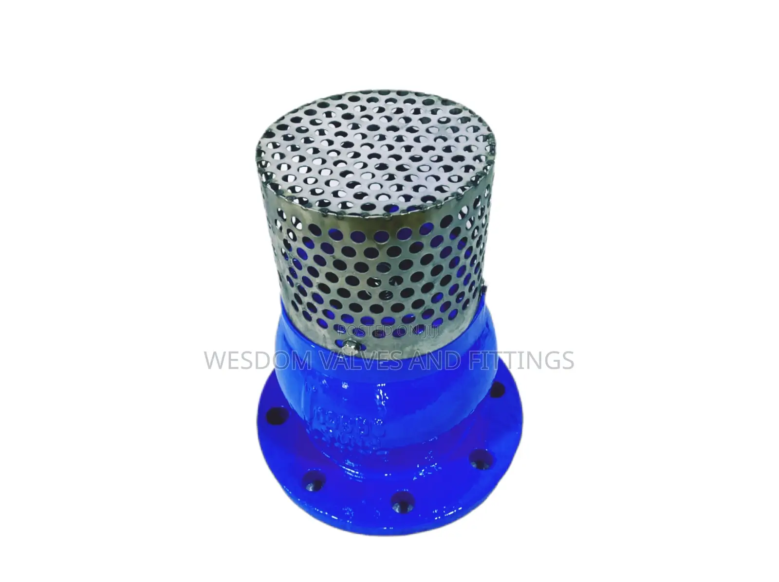 Foot Valve Pn16 - Sizes 3" to 8" Available