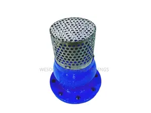 Foot Valve Pn16 - Sizes 3" to 8" Available