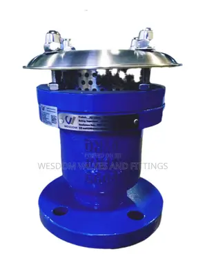 Single Flange Air Valve Pn25 - Sizes 3" to 4" Available