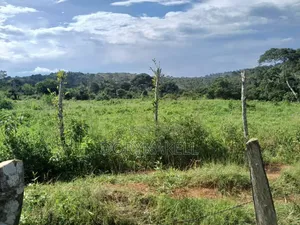 90 Acres of Farmland in Buikwe-Mukono