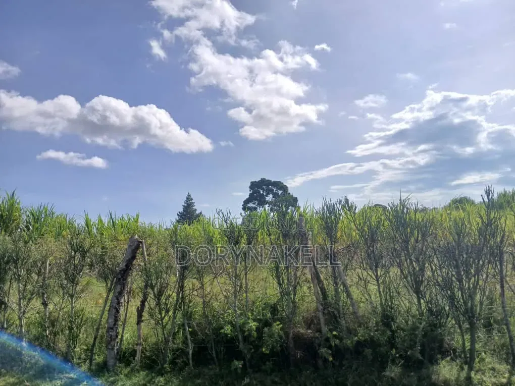 90 Acres of Farmland in Buikwe-Mukono