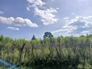90 Acres of Farmland in Buikwe-Mukono