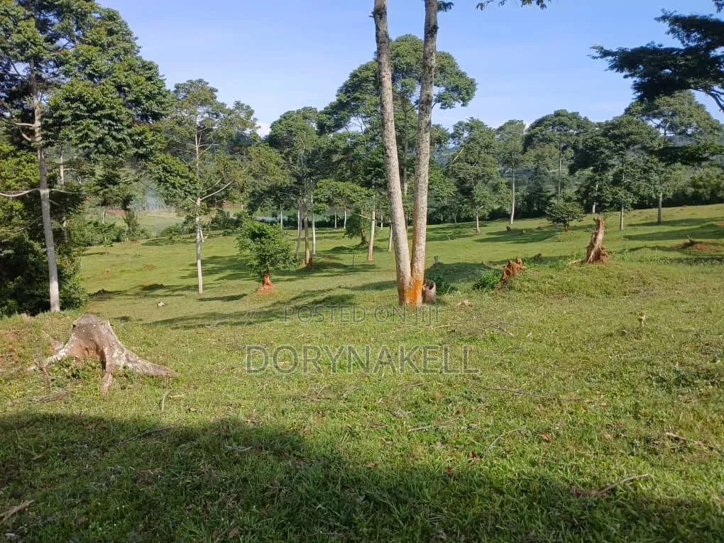 90 Acres of Farmland in Buikwe-Mukono